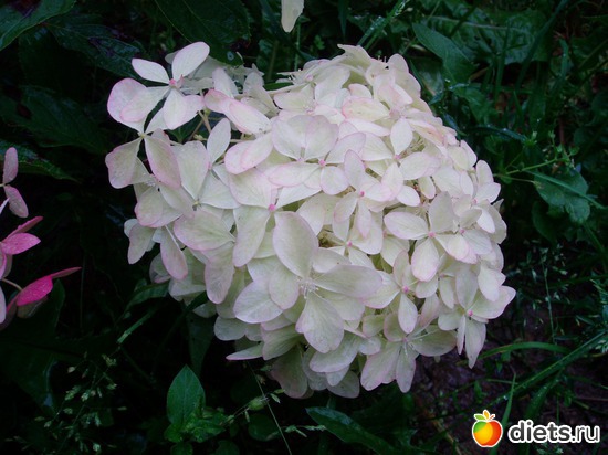 20 ����: ������� �����