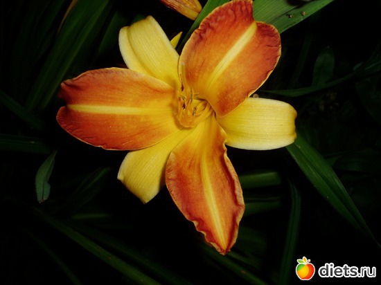 23 ����: ������� �����