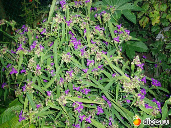 25 ����: ������� �����