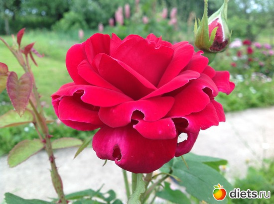 18 ����: ��� ����.