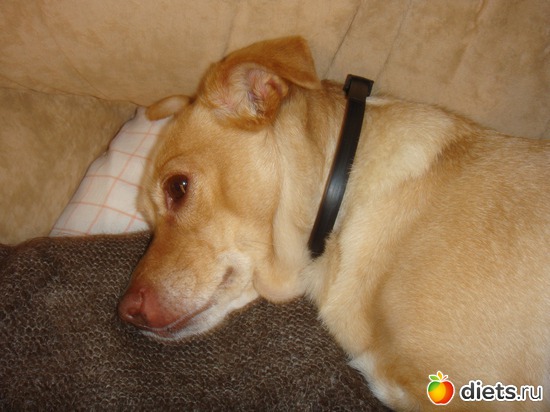 ����� ����� �������������., ������: ��� ������ ����