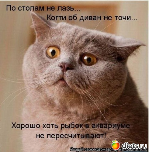 19 ����: �������