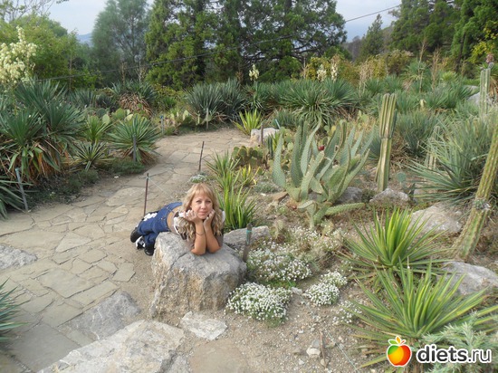 � ���������� ���������, ������: ������� ����