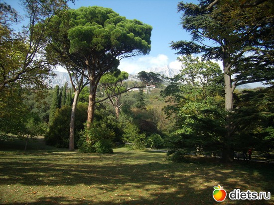 8 фото: осенний крым