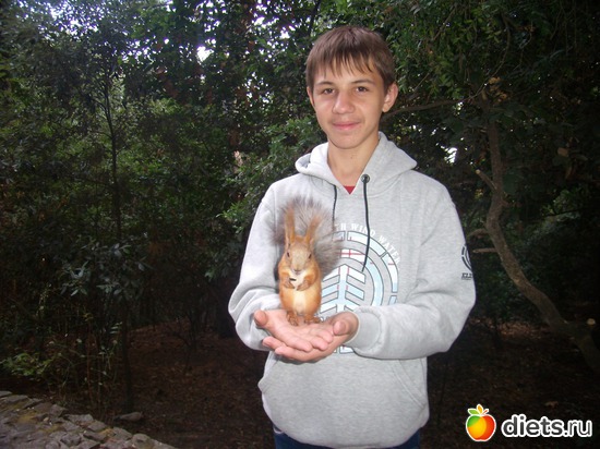 13 ����: ������� ����