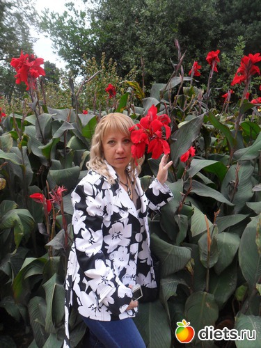 14 фото: осенний крым