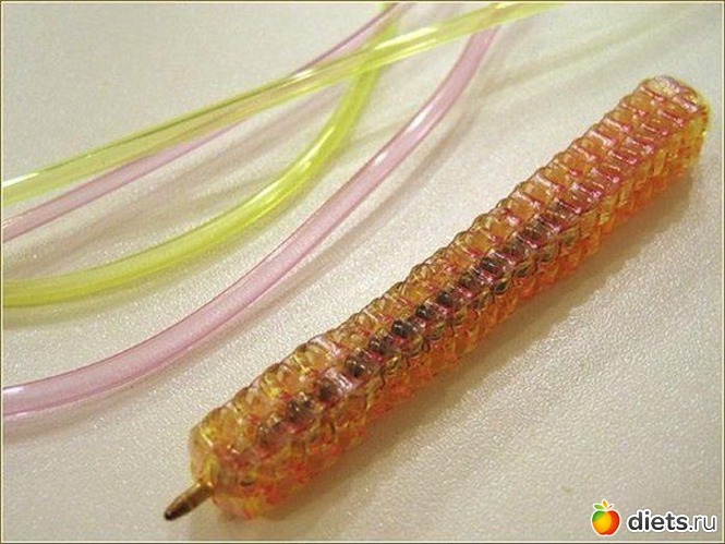 19 ����: ����������