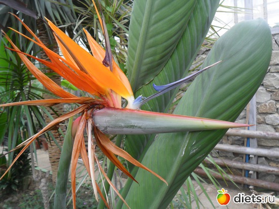 15 ����: ������� ����