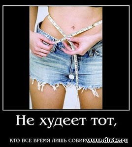 ��� ����������