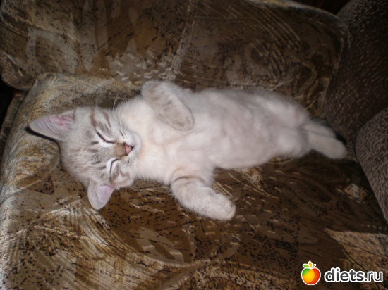 16 ����: �����