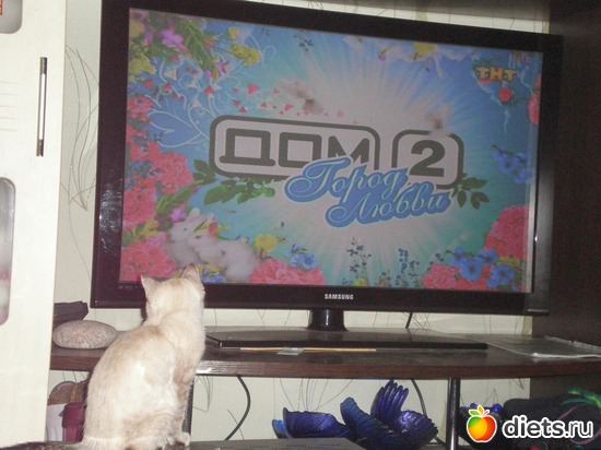 17 ����: �����