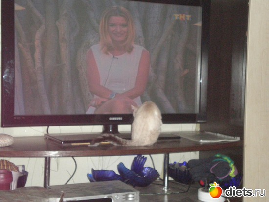 18 ����: �����