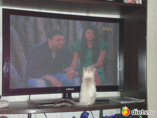 19 ����: �����