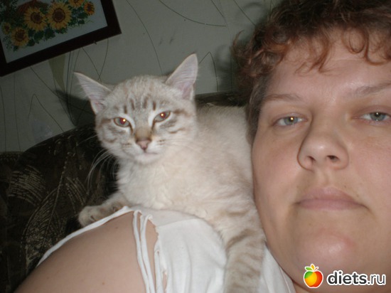 20 ����: �����