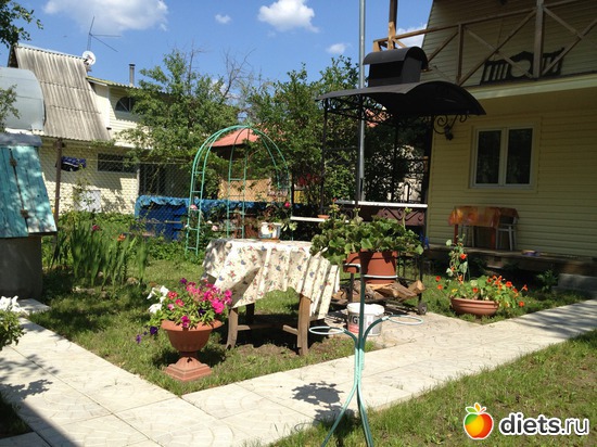 22 ����: ��� ����