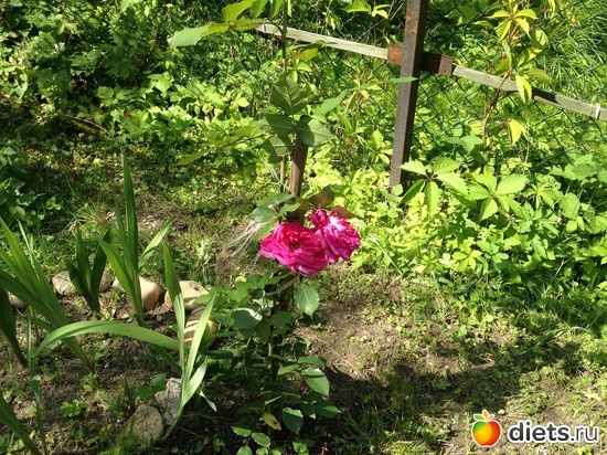 23 ����: ��� ����