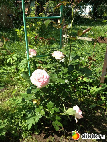 28 ����: ��� ����