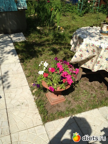 30 ����: ��� ����