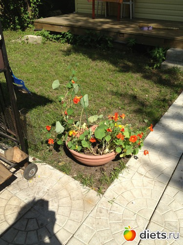 31 ����: ��� ����