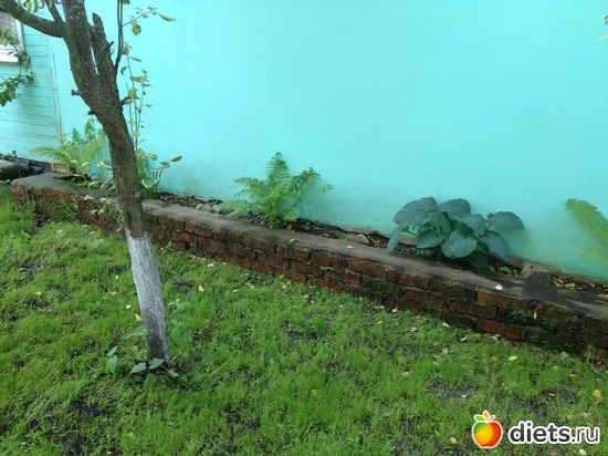 37 ����: ��� ����