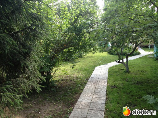 38 ����: ��� ����