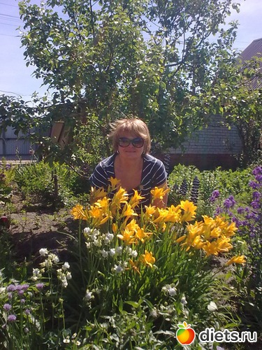 4 ����: ���� 2013