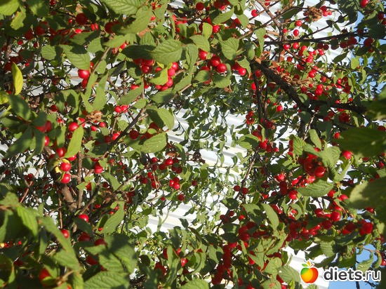 2 ����: ������