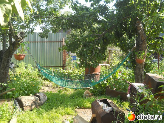 ��� �����., ������: ������