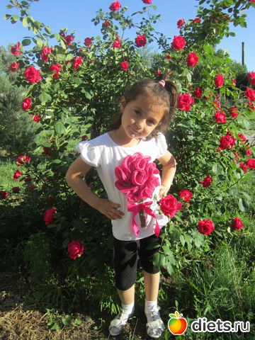 ��� ��������