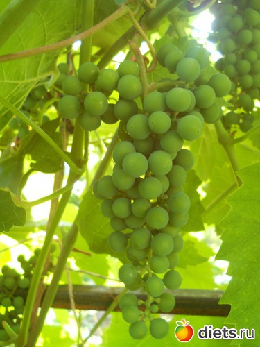 11 ����: ������