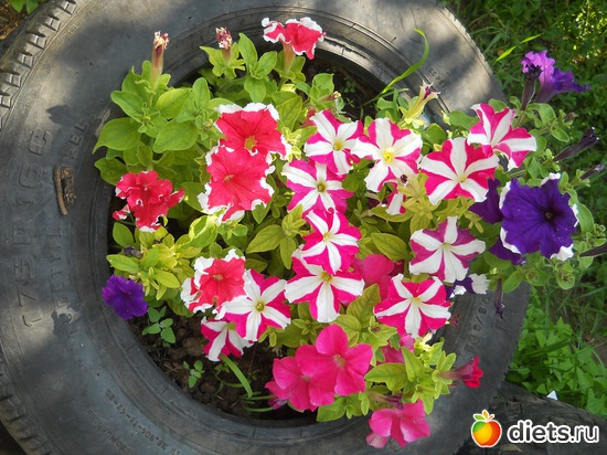 9 ����: ������