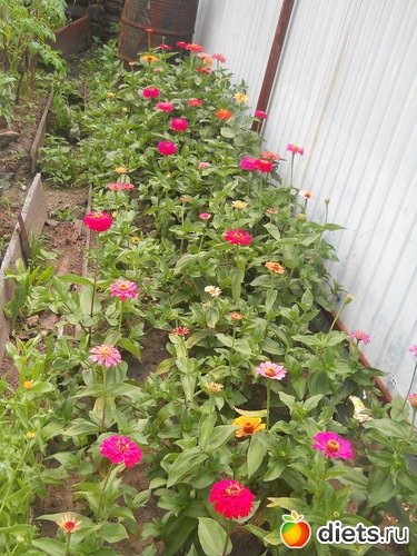 10 ����: ������