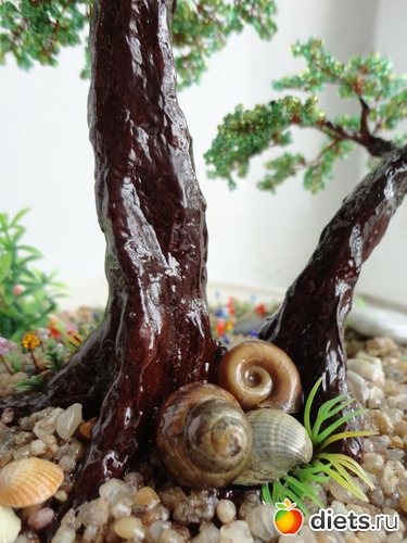 3 ����: �����������:)