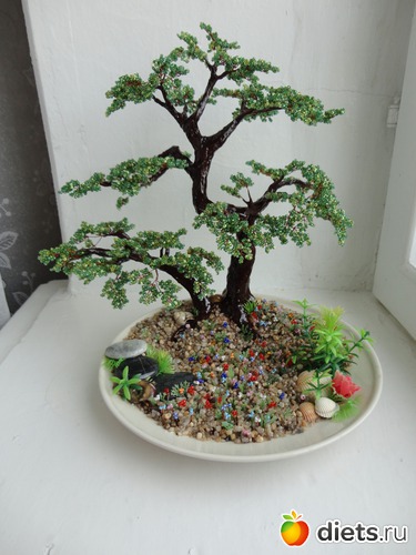 5 ����: �����������:)