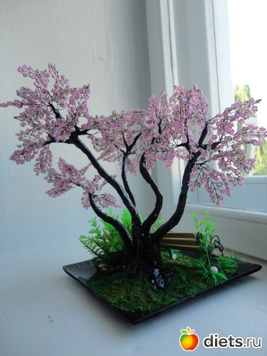 7 ����: �����������:)