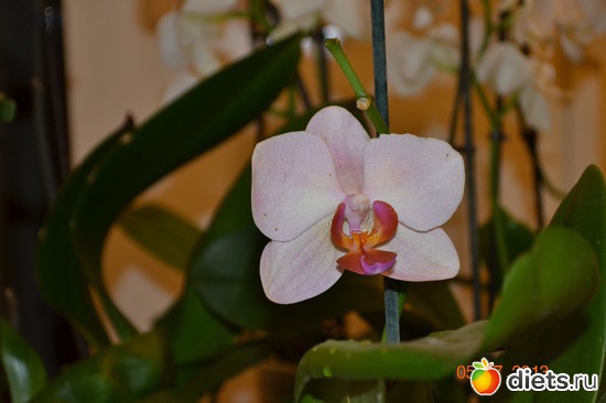 3 ����: ��� ���������