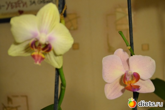 5 ����: ��� ���������