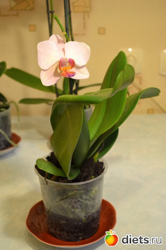 8 ����: ��� ���������