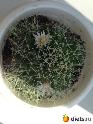 2 ����: ��������