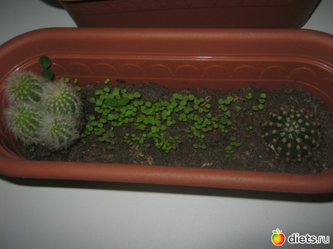 7 ����: ��������