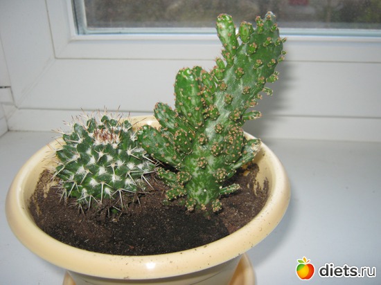 8 ����: ��������