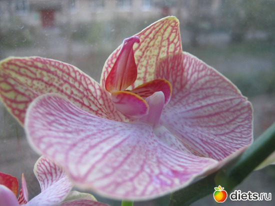 10 ����: ��������