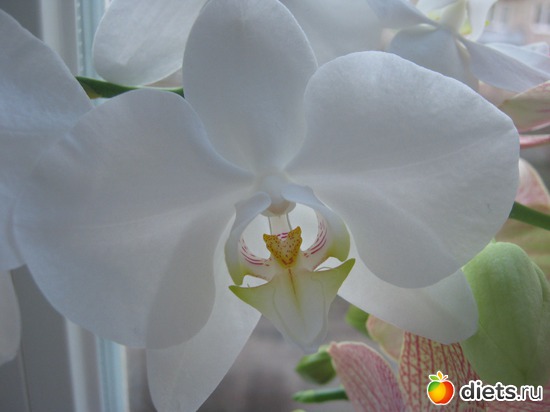 11 ����: ��������