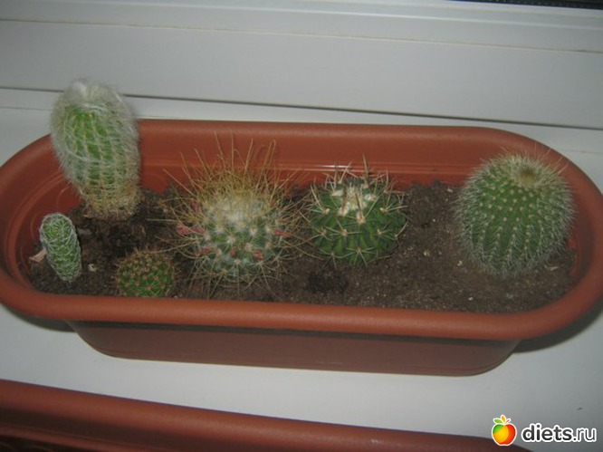 15 ����: ��������