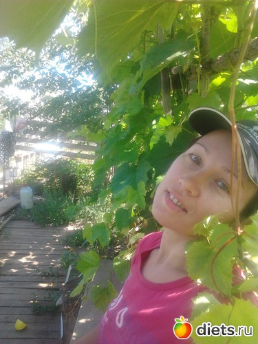 ���������, ������: �������