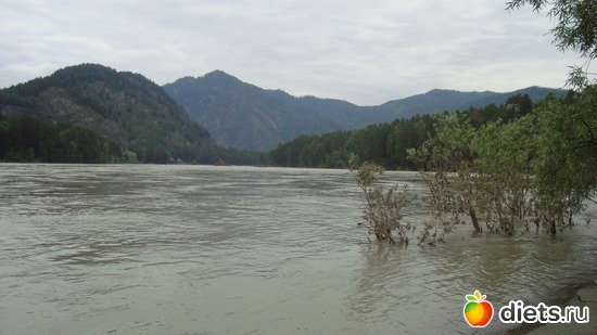 Алтай, альбом: Алтай