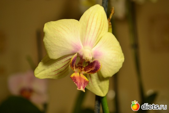 2 ����: ��� ���������