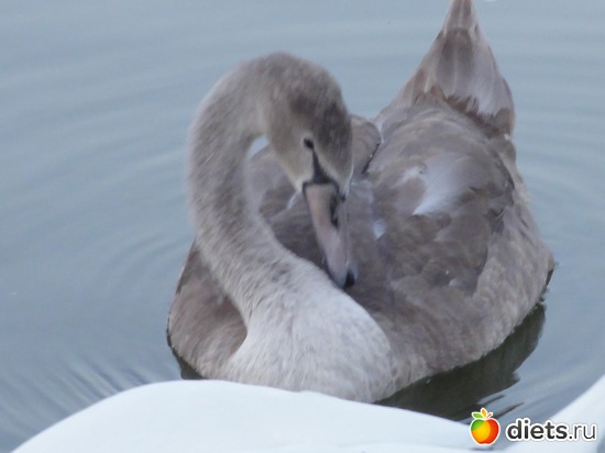 28 ����: �������