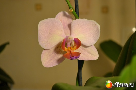 3 ����: ��� ���������