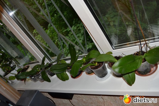 4 ����: ��� ���������